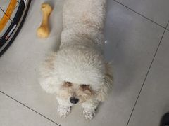 -美利达自行车(五棵松店)