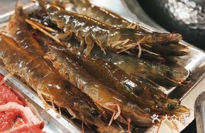 Live Green Shrimp