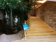 -阿斯牛牛·凉山菜(新会展店)
