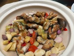 -凤阁楼果木烧鹅(鹤山陈山店)
