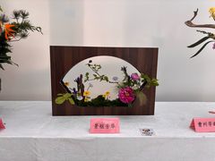 -曹州牡丹园