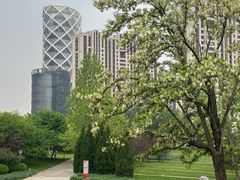 -大望京公园