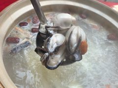 -濠轩阁特色生蚝火锅(水湾路店)