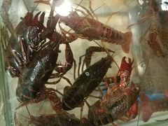 -虾弄弄海派小龙虾·牛羊蝎子火锅