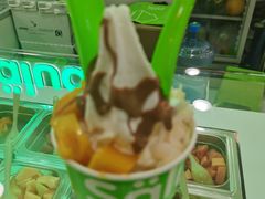 -Salud撒露欧洲冻酸奶(五道口购物中心店)