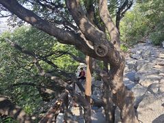 -千佛山风景名胜区