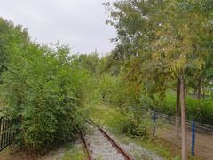 -西青郊野公园