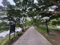 -江心屿景区