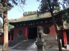 -马遂林烩面馆(少室路店)