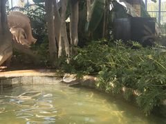 -太白山御龙湾温泉