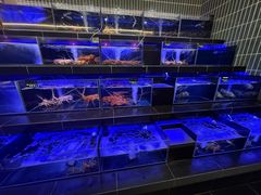 -真浪花园海鲜餐馆