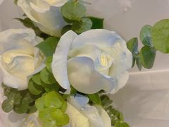 -苏州盘门景区人民桥南地铁站亚朵X酒店