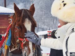 -雪谷