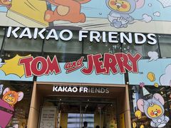 -KAKAO FRIENDS(弘大店)