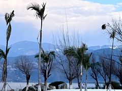 -西昌邛海湾柏樾酒店(原邛海湾柏栎度假酒店)