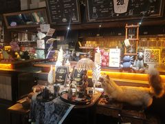 -杂咖zacup(领展中心城店)