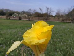 -贵阳市花溪国家城市湿地公园