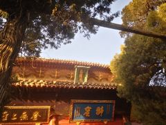-洛阳白马寺