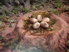 -湖南省地质博物馆