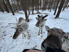 -北极村旅游风景区