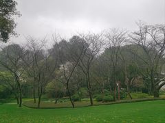 -中国茶叶博物馆(双峰馆区)