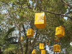 -歌斐颂巧克力小镇