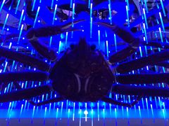 -蟹之国·精品蟹料理(极地店)