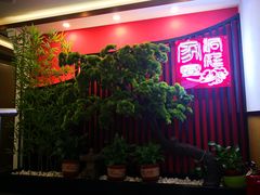-洞庭家宴·头牌甲鱼(广渠门店)
