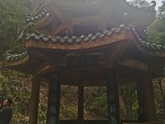 -姑婆山旅游区