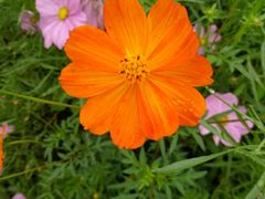 -桤木河湿地公园