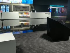 -奥斯卡升龙国际影城(RealD Cinema)