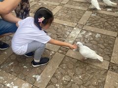 -昆明动物园
