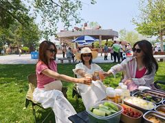 -南戴河国际娱乐中心