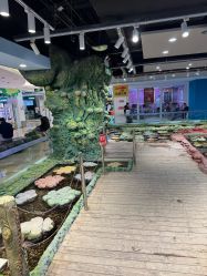 -钓虾工场·钓虾·赶海(回龙观店)