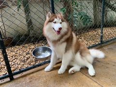 -TrueLove @ Neverland (Husky Cafe)