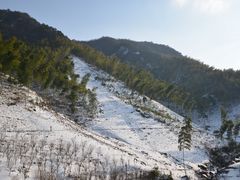 -四明山国家森林公园