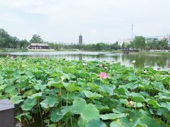 -西海子公园