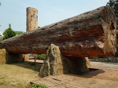 -国家植物园南园