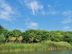 -上海长兴岛郊野公园