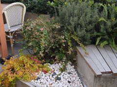 -Peet's Coffee皮爷咖啡(大学路店)