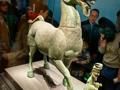 -广西壮族自治区博物馆