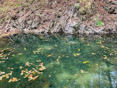 -本溪汤沟绿石谷森林公园