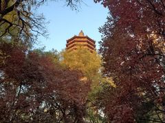 -玲珑塔公园