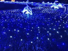 -长春世界雕塑园冰雪艺术天地