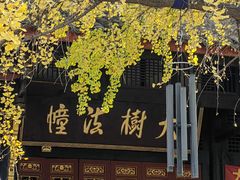 -古大圣慈寺