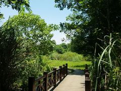 -桤木河湿地公园