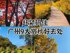 -广州市石门国家森林公园