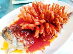 -楚灶王(徐东店)