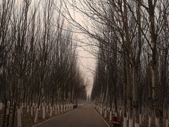 -东郊湿地公园
