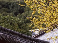 -宁波市保国寺古建筑博物馆